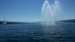 Lake Zurich